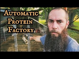 Rabbit Colony: "Hands-Free" Approach to Meat Production