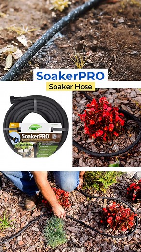 1.2K reactions · 95 shares | Looking to conserve water without...