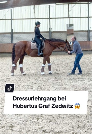 Reiten lernen mit Hubertus Graf Zedwitz – Dressurlehrgang