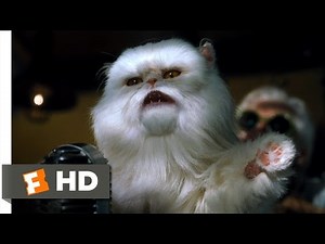 Cats and Dogs - Mr. Tinkles Fires Everyone - Part 8