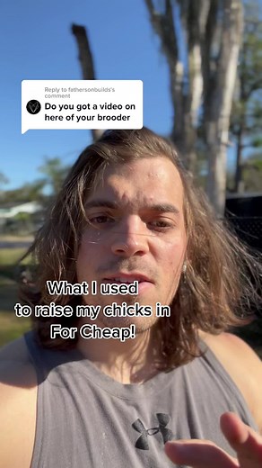 Reply to @fathersonbuilds this is an extremely simple build. It works though! I raised all my chicks and ducks using this. #urbanchickenfarmer #chicktok #chickens