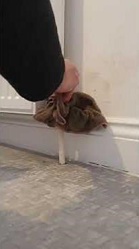 Radiator stuck HOT / COLD thermostatic valve repair fix FREE FAST