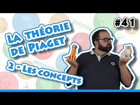 THE PIAGET THEORY (2/2 - THE CONCEPTS) - 60 seconds of PSY # 41