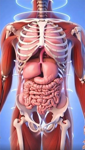 How Doctors See Inside Your Body Without Surgery | CT Scan Explained