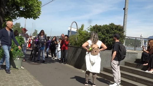 Best Ultimate of Bushman Prank Compilation | Bushman Pranks