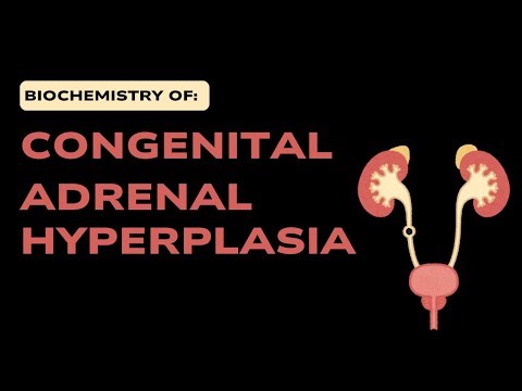 Biochemistry of Congenital Adrenal Hyperplasia, CAH, 21 hydroxylase deficiency, | Causes