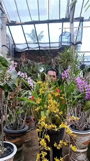 Exploring American Gardening Trends with Flowers