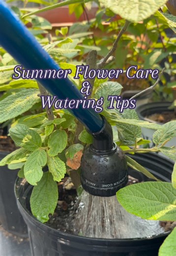 kemptvilleflowershop on TikTok