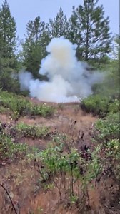 tanerite explosive target