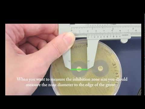 Microbiology resources - Callipers and Vernier Scale