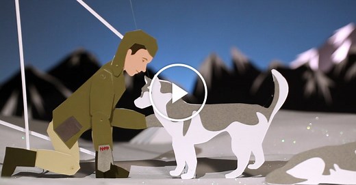 Animated Life: Pangea