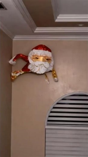 Goo Goo Gaga can’t stop growing