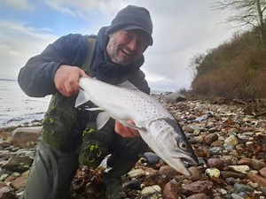 Omø dag 1. Havørredfiskeri d. 1. januar 2026