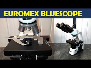 🔬 The Euromex BlueScope Microscope — A Full Review
