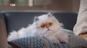 Fatti coccolare anche tu con #TIMSMART: Fibra, TIMvision, Fisso e Mobile nella stessa offerta. E il primo mese è GRATIS! | TIM