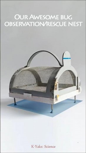An awesome DIY bugs observation/ rescue nest made from PVC pipe