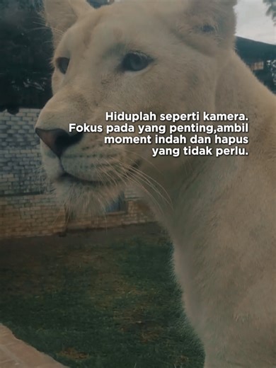 Explore Libra Vibes: Healing and Positive Energy