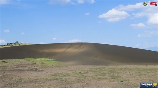 The Ngorongoro Shifting Sands, is a unique natural phenomenon within Ngorongoro Conservation Area in Tanzania. It is a large, crescent-shaped dune of volcanic ash that is constantly moving and changing its shape. The shifting sands are believed to be the result of the fine ash and sand that is blown off the nearby active volcano, Ol Doinyo Lengai. The sand is very fine and light, making it easily carried by the wind. As the wind blows, the sand shifts and moves, creating ripples and patterns on 
