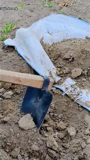 Crazy Hack! Turning Banana Stems Into Organic Fertilizer for Poor Soil 🌱🔥#raisedbed #composting