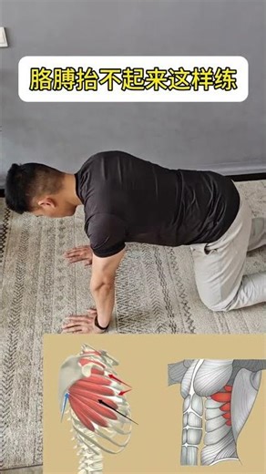 Unlock Shoulder Blade Strength: The Secret to Pectoral Power