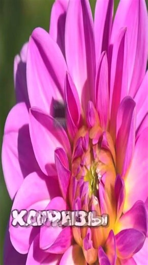 #redstone #commandblock #build