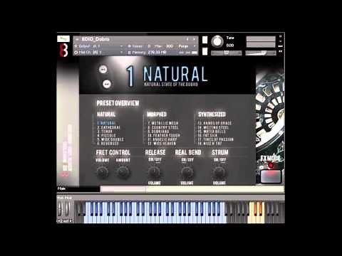 8Dio Dobro Solo Guitar