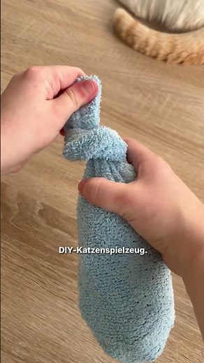 Dieses DIY-Spielzeug lieben viele Katzen 😺 #katzentipps #katzenwissen #haustiere