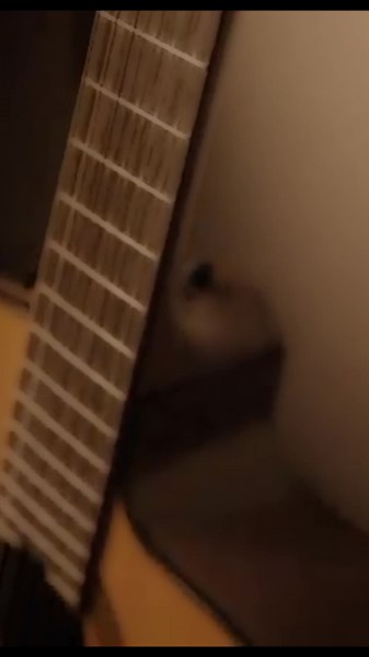 Aşk Bir Mevsim - Pinhani #aşkbirmevsim #pinhani #duygusalşarkılar #türkçe #türkçemüzik #lyrics #keşfet #tiktok #türkiye