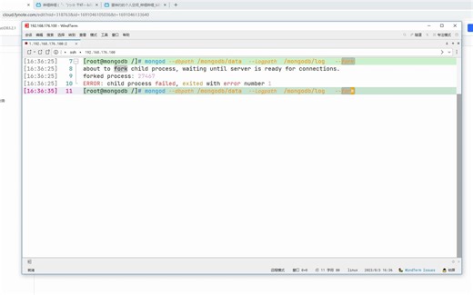 3、MongoDB的服务启动