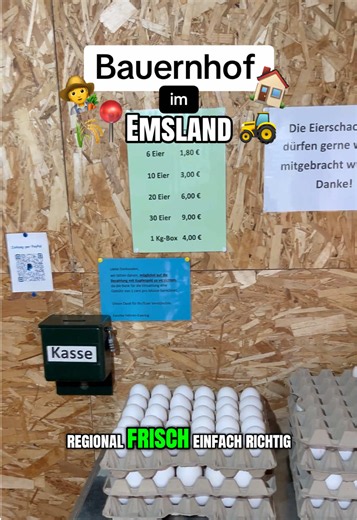 Der 📍Rheine Reporter 👨🏼‍💼 ist auf einem Bauernhof im Emsland. Hier gibt es frische regionale Eier zu kaufen. 🥚🍳 Soll ich mal einen Tag auf einem Bauernhof mithelfen? 🏠🚜 Schreibt es in die Kommentare. 🤓 #fyp #emsland #bauernhof #eier #viral