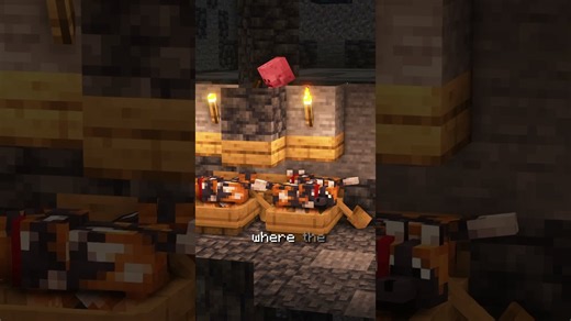 One Trick to Turn Your Skeleton Spawner into a Fully AFK Farm