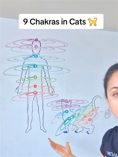 Did you know this?? | chakra