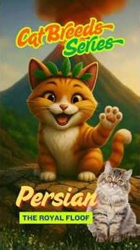 Persian Cat 🐱 | The Royal Floof of All Cat Breeds