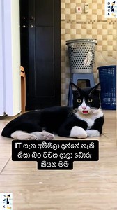 IT ගැන අම්මලා දන්නේ නැති නිසා