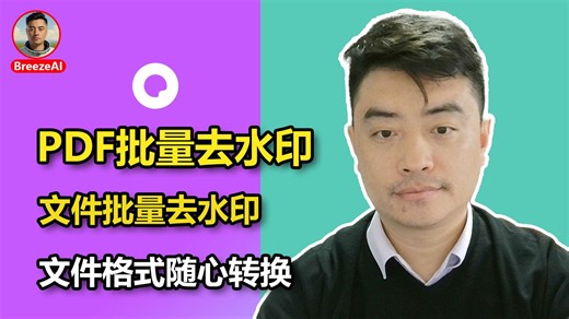 如何批量去除PDF水印，轻松转换文件格式，AI智能去水印，支持Win和Mac系统