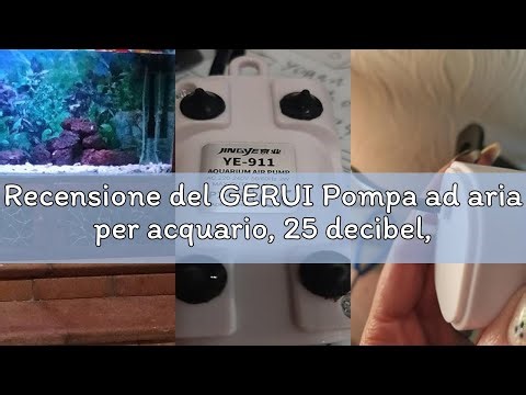 Recensione del GERUI Pompa ad aria per acquario, 25 decibel, 200 l/h, potente aeratore per acquari f