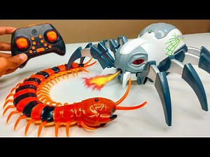RC Tarantula Spider Vs RC Kankhajura Vs RC Robotic Spider Unboxing & Fight - Chatpat toy tv