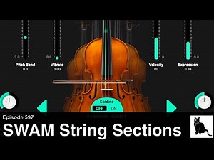 SWAM Physical Modeled String Sections with Ambiente Room Modeling