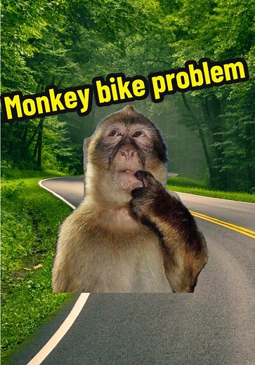 Monkey Learns to Ride a Bike: Hilarious Moments
