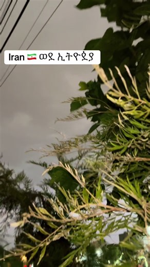 Dm for order #stickers