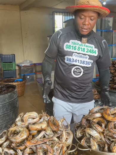 From Soft to Premium! Watch Us Turn Semi-Dry Panla into Boneless Smoked Fish No bones, no stress — see how we upgrade Eja Panla into a clean, ready-to-use delicacy! In this process video, we take semi-dried Eja Panla (panla fish) and transform it into fully deboned, well-smoked premium fish. From careful handling to removing all bones and completing the drying process, every step is done to ensure quality, taste, and convenience. Perfect for anyone who loves clean, ready-to-cook fish. #PanlaFish