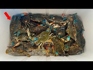 BLUE CRAB ** CATCH CLEAN COOK ** LIKE YOU'VE NEVER SEEN BEFORE