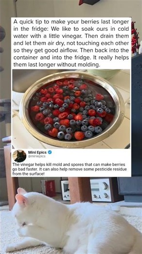 This Keeps Berries Fresh Longer
