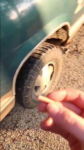 world-class fireworks adult snappers review