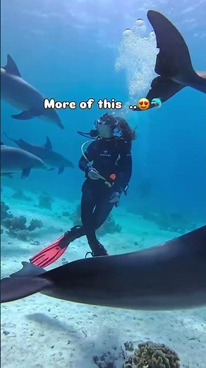 Underwater Paradise with Colorful Fish 🐟💙