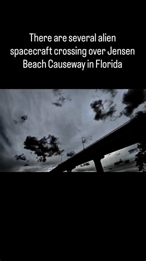 Brian Ladd on Instagram: "my wife and I are looking at these organic spacecraft fly by Jensen Beach Causeway in Florida. There’s also alien birds here this is totally amazing. #Atlantic ocean UFO#Atlantic Ocean#alien birds#organic spacecraft My wife and I document UFO and alien activity in St. Lucie county Florida. We have been doing this for over a year. All our work is public domain. You are free to share copy or do whatever you want with our videos. Thank you for watching. Please share. Every