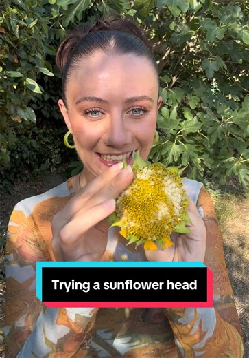 Trying a Sunflower Head for the First Time: Is It Edible? 🌻