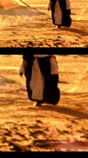 This video uncovers the surprising story of Libya's original Black African inhabitants. See the archaeological evidence that challenges today's view. Discoveries like the Black Mummy reveal a forgotten past. #LibyaHistory #BlackHistory #Archaeology #AncientAfrica #HiddenHistory From: Black Mummy Mystery | Odyssey - Ancient History