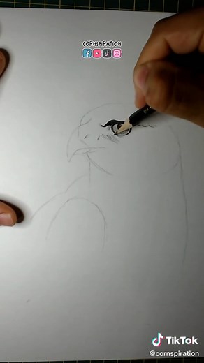 Cómo dibujar un halcón: tutorial fácil y práctico