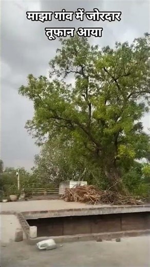 bad blood song ☁️☁️🌪️🌪️🌪️🌪️